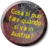 VEDIAMO QUALI ATTIVITA' SONO POSSIBILI QUANDO SI VA IN AUSTRIA