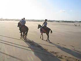 passeggiata a cavallo sulla spiaggia