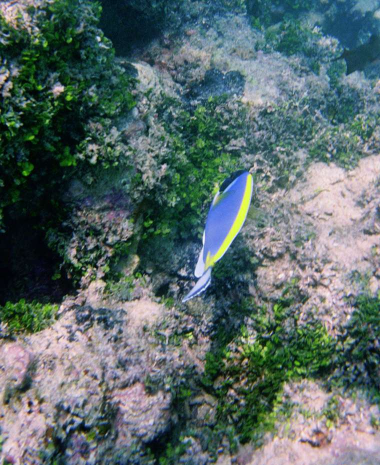 SEI NELLA PHOTO-GALLERY