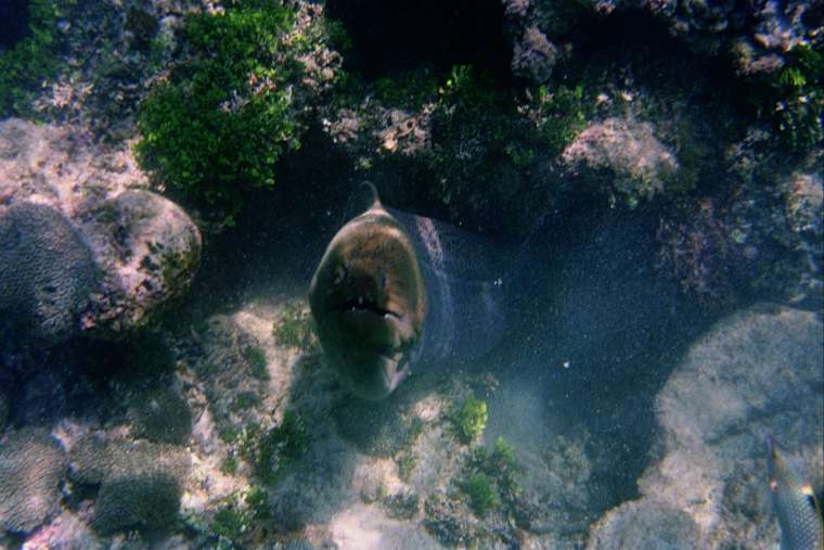 SEI NELLA PHOTO-GALLERY