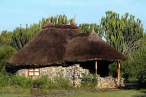 esterno mbweha camp