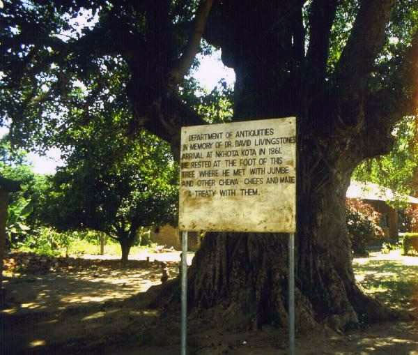 Livingstone Tree, con la targa in memoria del fondatore della città