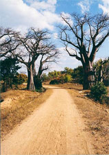 Una tipica strada sterrata del Malawi